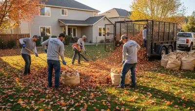 Professional landscapers performing fall leaf removal in a Chico, CA residential yard cleanup