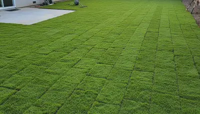 Freshly installed bright green sod lawn in Chico, CA showing expert landscaping and instant curb appeal